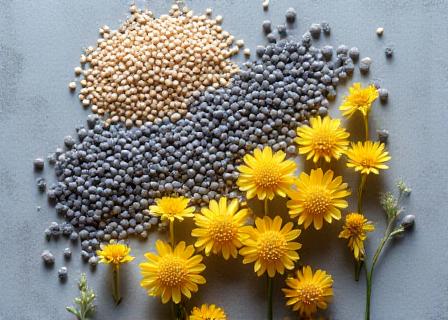 Close up of high quality ingredients